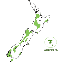 Recorded distribution