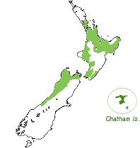 Recorded distribution