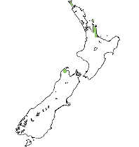 Recorded distribution
