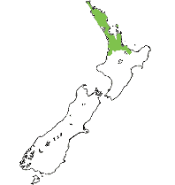Recorded distribution