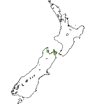 Recorded distribution