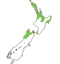 Recorded distribution