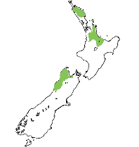 Recorded distribution