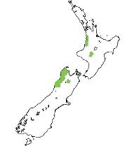 Recorded distribution
