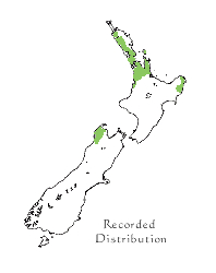 Recorded distribution