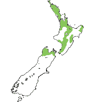 Recorded distribution
