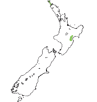 Recorded distribution