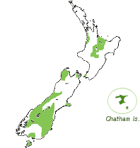 Recorded distribution