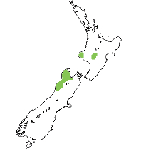 Recorded distribution