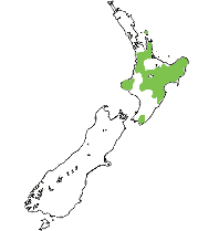 Recorded distribution